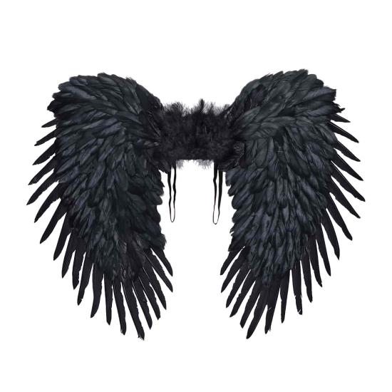 Asas de penas pretas premium