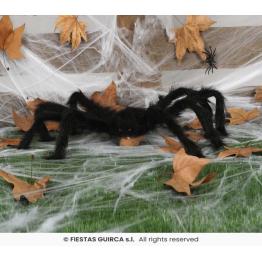 Aranha preta, 70 cm.