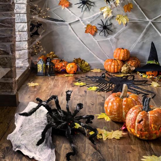 Aranha saltadora gigante (91 cm)