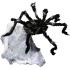 Aranha saltadora gigante (91 cm)