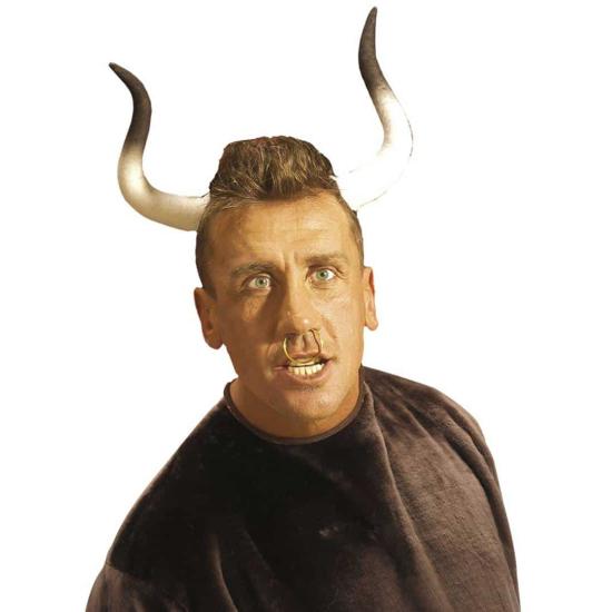 Tiara de chifres de touro. Tiara de chifres de touro.