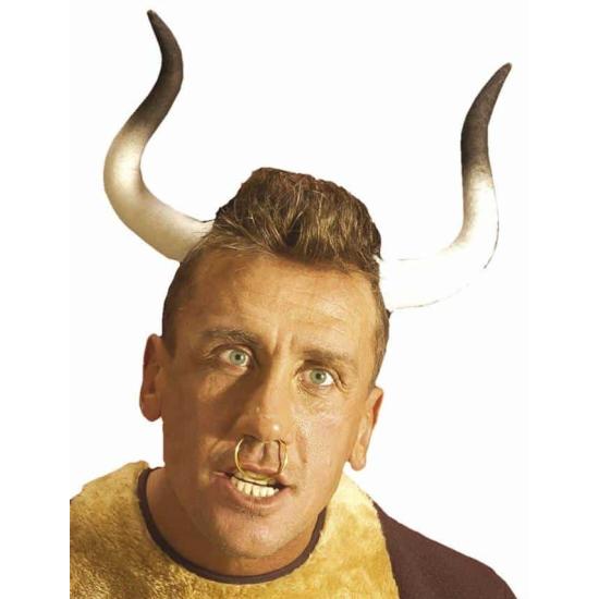 Tiara de chifres de touro. Tiara de chifres de touro.