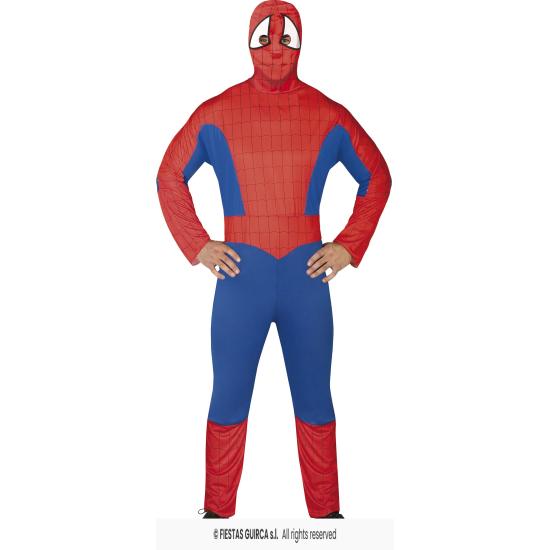 Fato de aranha super-herói adulto