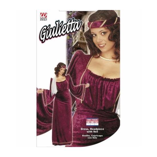 Fato de Lady Tale medieval adulto.