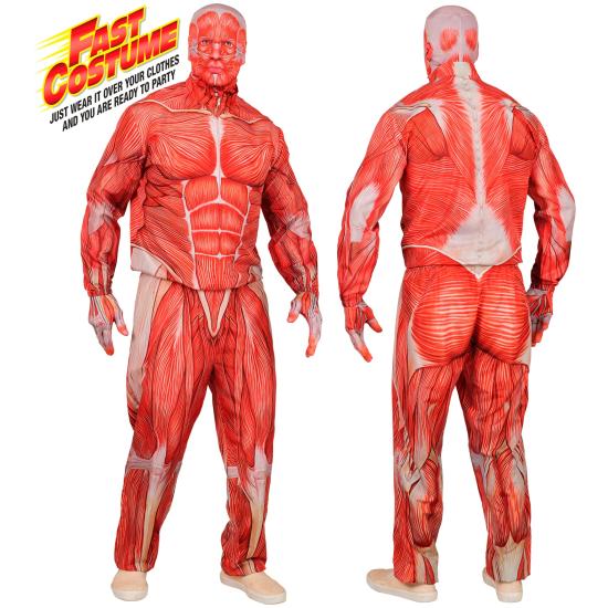 Traje de anatomia FAST COSTUME para adultos