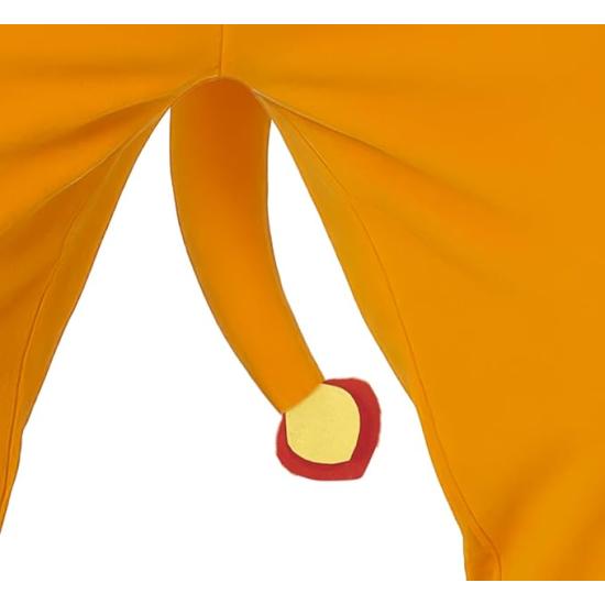 Fantasia de Charizard adulto de Pokémon