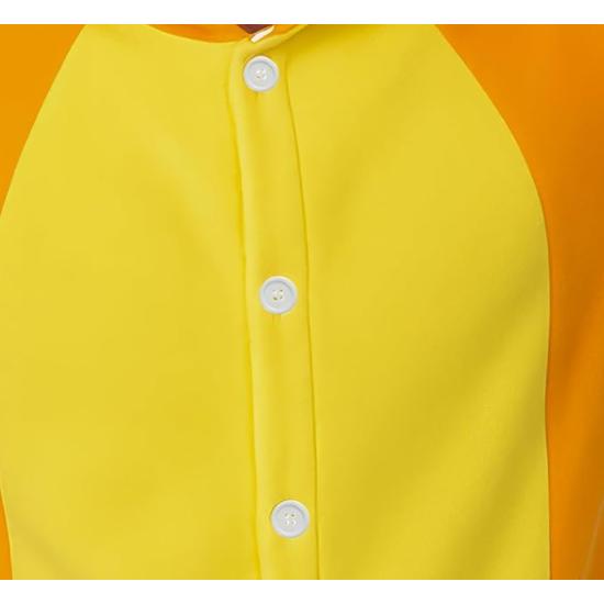 Fantasia de Charizard adulto de Pokémon