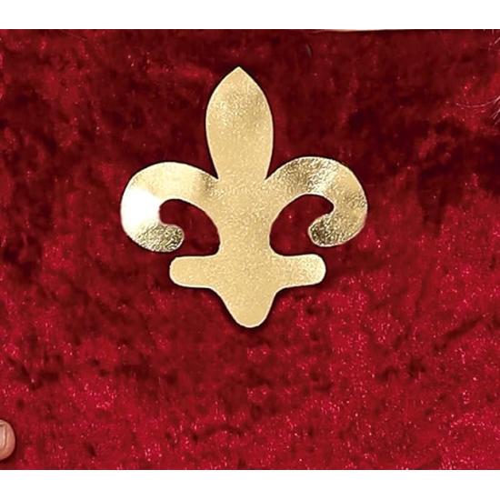 Fantasia de princesa medieval