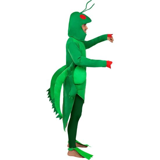 Disfraz de saltamontes para adulto