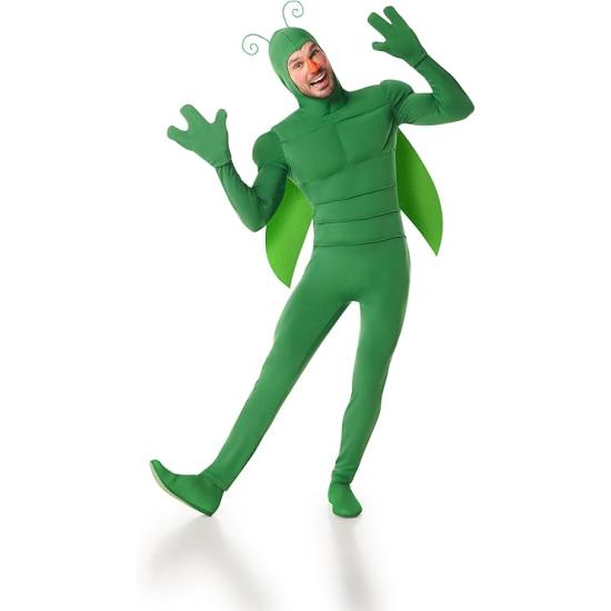 Fantasia de inseto verde para homens
