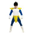 Fantasia do primo Vegeta de Dragon Ball