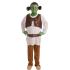 Fantasia infantil de ogro verde Shrek