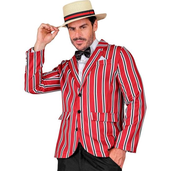 Fantasia de Sr. Adulto dos anos 1920