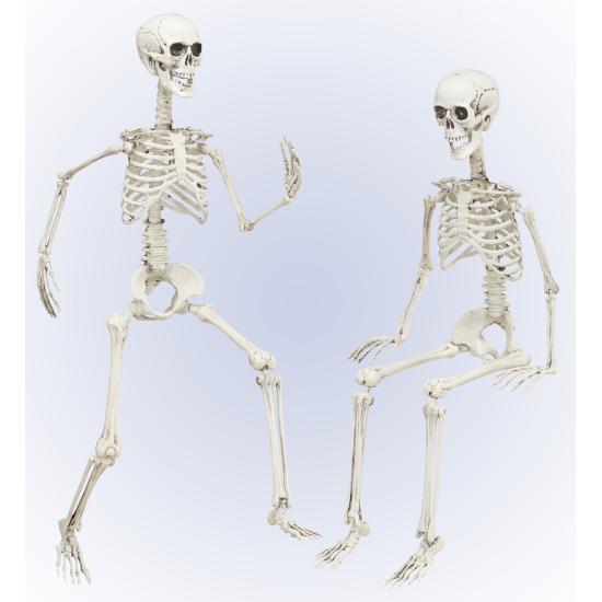 Esqueleto Posicionável 90 cm