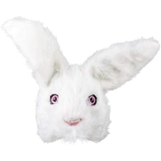 Mais metade da cara de coelho adulto