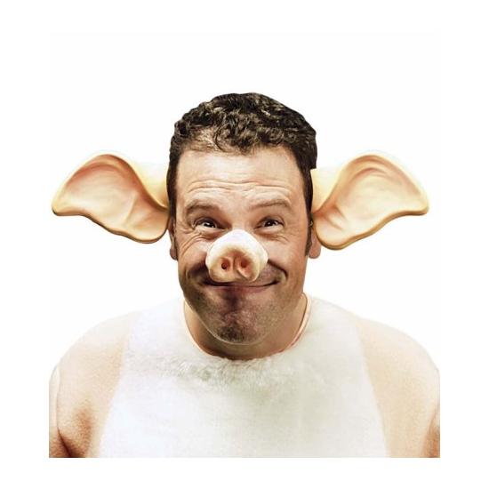 fantasia de orelhas de porco