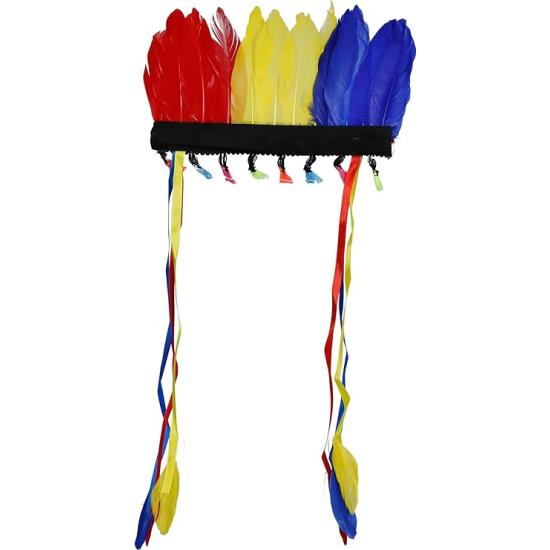 Tufo de penas multicoloridas Tufo de penas multicoloridas