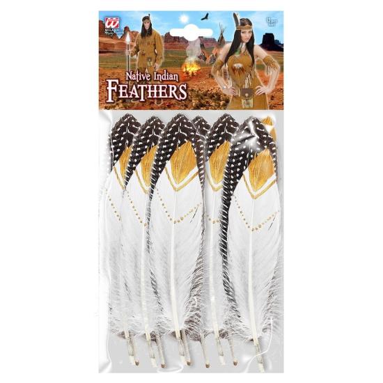 Conjunto 12 penas indianas *