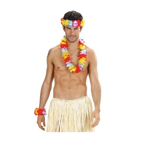 Conjunto havaiano multicolorido de luxo. Conjunto havaiano multicolorido de luxo.
