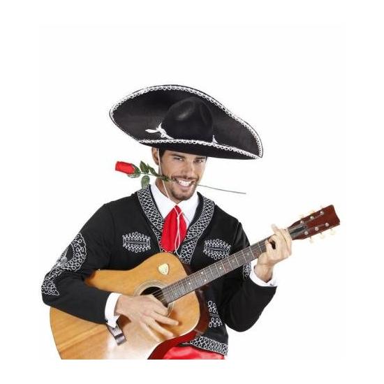 Chapéu Mariachi de feltro luxuoso Chapéu Mariachi de feltro luxuoso